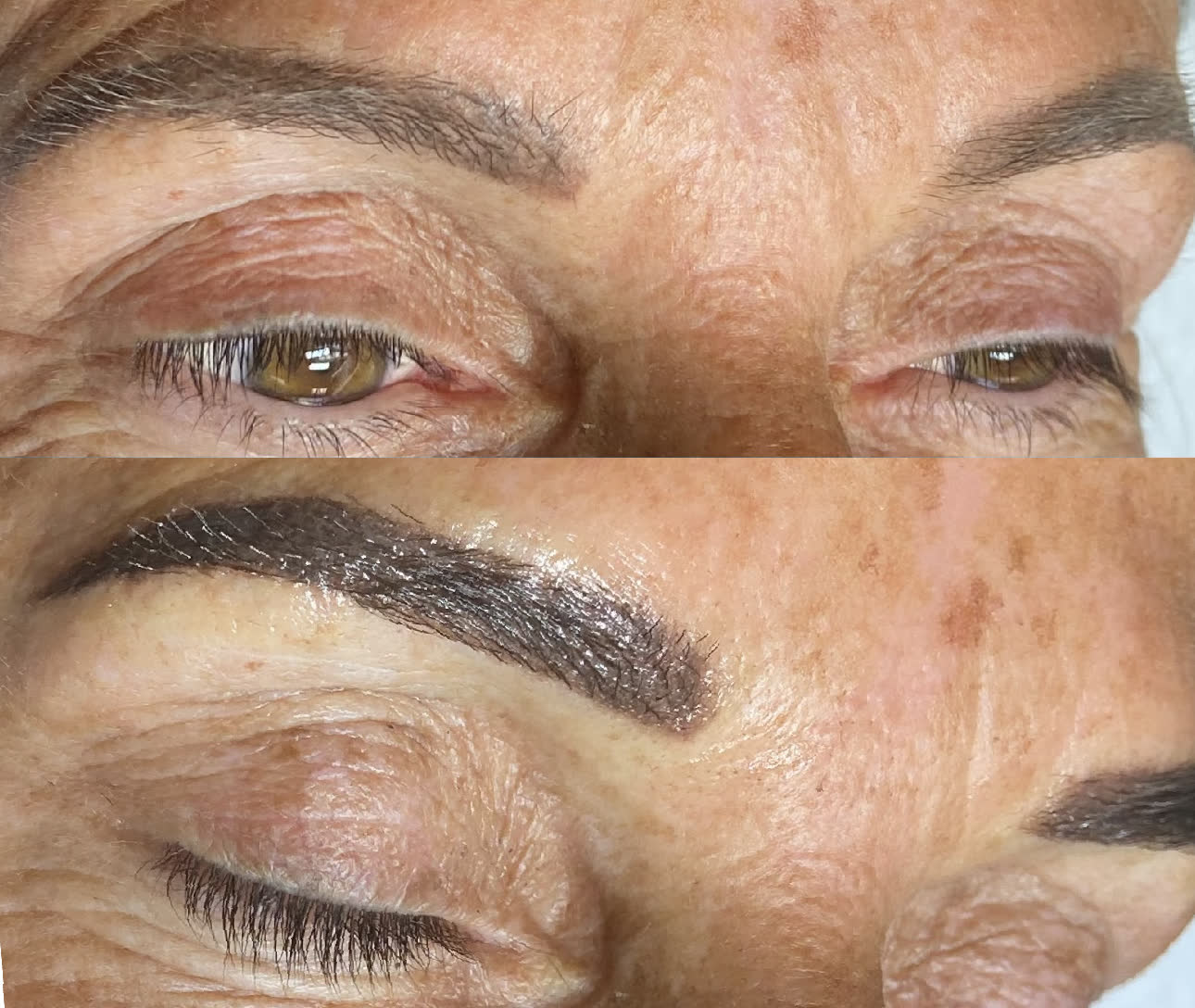 Blade and Shade brow portfolio 8